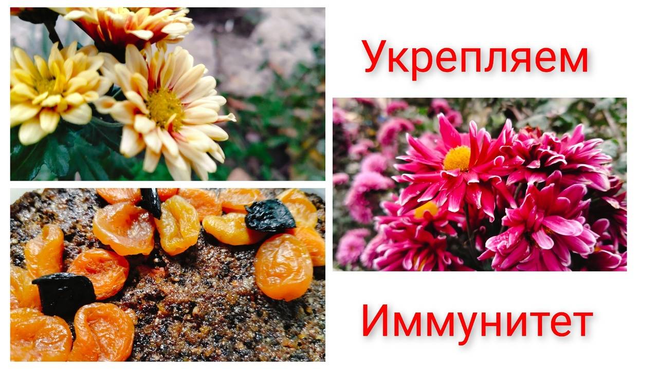 Истеричка.Теперь как без штанов.Укрепляем иммунитет. смотреть онлайн