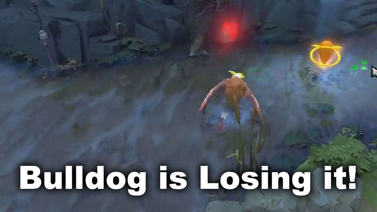 Bulldog is Losing it! Dota 2 смотреть онлайн