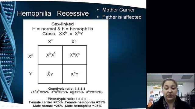 Genetics Part 4 смотреть онлайн
