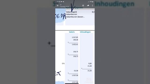 НИДЕРЛАНДЫ РАЗБОР ЗАРПЛАТНОЙ СТРОКИ#viral смотреть онлайн
