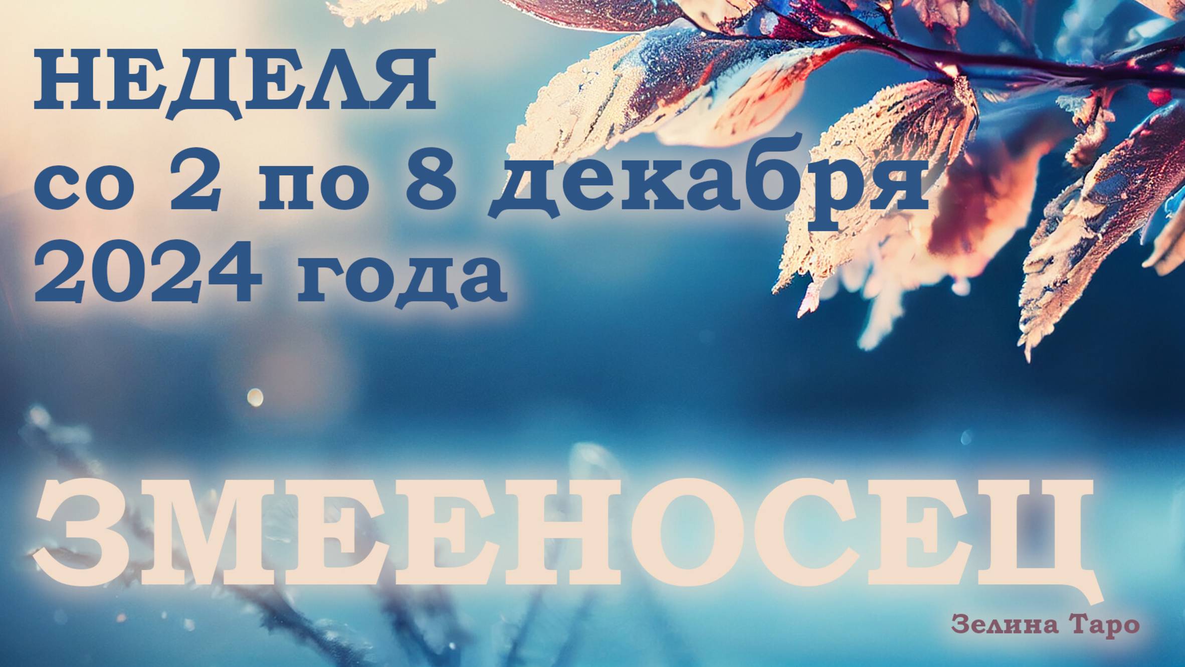 ЗМЕЕНОСЕЦ | Таро прогноз на неделю со 2 по 8 декабря 2024 года