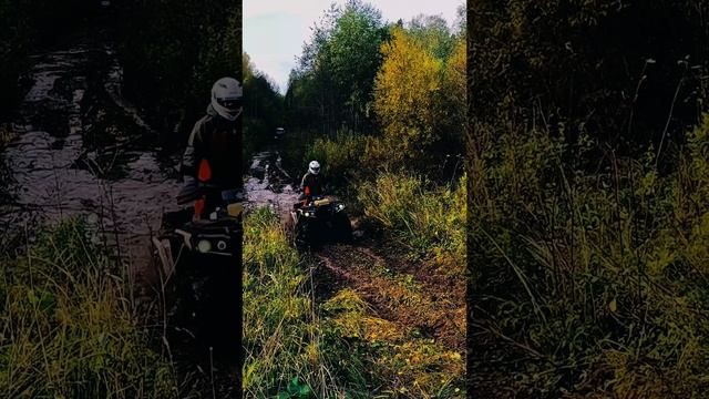 1000031066.mp4
