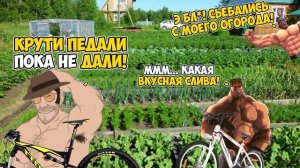 МГЕ БРАТЬЯ НА ВЕЛОСИПЕДАХ / ЧАСТЬ III