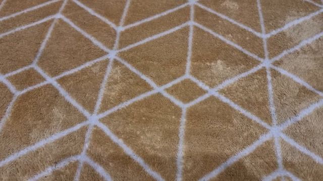 Saltwater Kit  & Thermometer | Update 3 Peninsula Mini 15