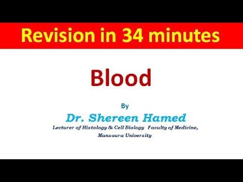 Revision of blood смотреть онлайн