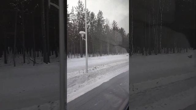 Из-за низкой температуры экскурсия была без выхода из автобуса.Ноябрьск. смотреть онлайн