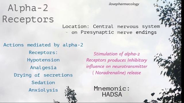 Adrenergic Receptors - Alpha-2 Receptor смотреть онлайн