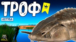 RF4 ЖЁСТКИЙ РАЗМОТ И ВОТ В ИТОГЕ ЧТО ПОЛУЧИЛОСЬ