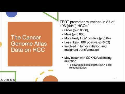 LMP Grand Rounds CThomas 27Sep2023 смотреть онлайн