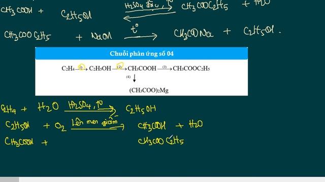 Hoá học 9 - Chuỗi phản ứng rượu etylic và axit axetic #hoahoc9 #ruou #axitaxetic смотреть онлайн