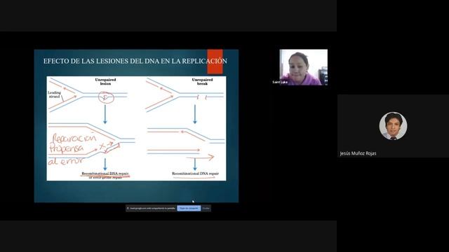 Reparación del DNA EyFM 2020 10 26 at 17 13 GMT 7 смотреть онлайн