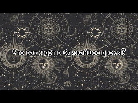 Knowledgeable Knowledge