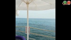 Пальмерас Бич 5 обзор пляжа и пирса лето 2019...