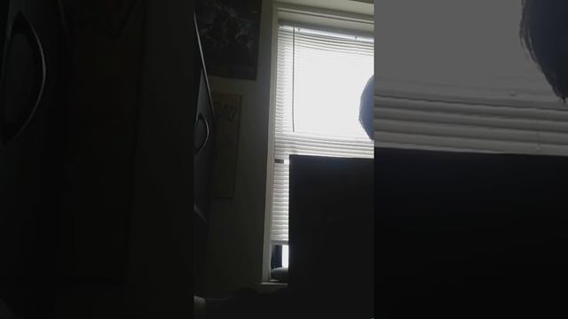 Zarin's massacre on Anime Waifus смотреть онлайн