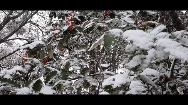 Преддверие зимы (стихотворение В. Гаазова) смотреть онлайн