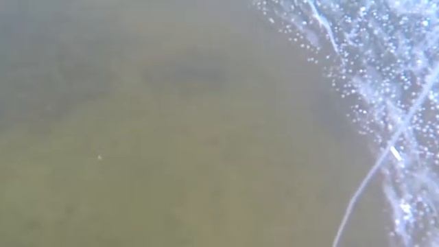 Сытая щука смотреть онлайн