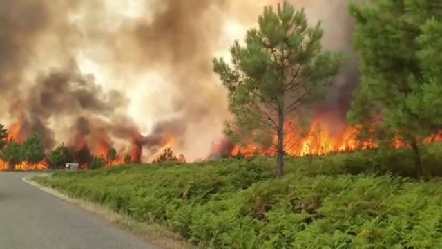 impresionante incendió en Sierra de gata смотреть онлайн