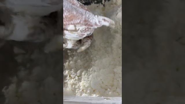 THIS SOUND OF PARADISE | CRUSHED STARCH 💨🤤🤤 смотреть онлайн