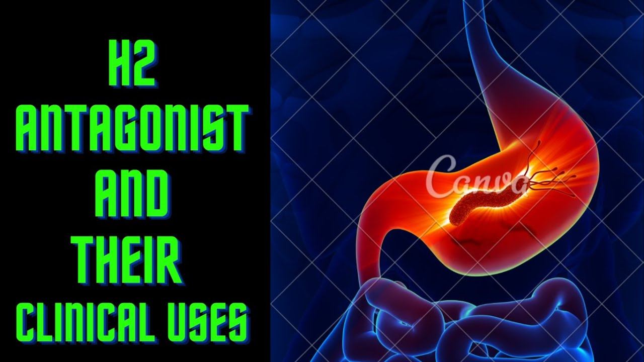 HISTAMINE H2 Receptor Antagonist | Classification and | Clinical Uses смотреть онлайн