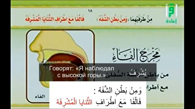 16. Айман Сувайд. Место образования ف. смотреть онлайн