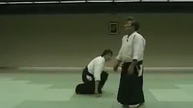 Айкидо - Инь и Янь в движении \ Aikido - Yin And Yang In Motion (Henry Kono)