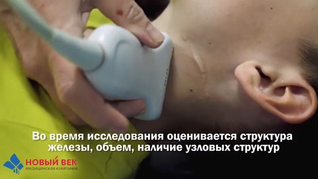 Узи щитовидной железы. Обзор исследования смотреть онлайн