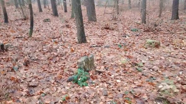 Na kilka tematów (01-12-2024)