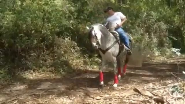 Diamanté - Reloj смотреть онлайн