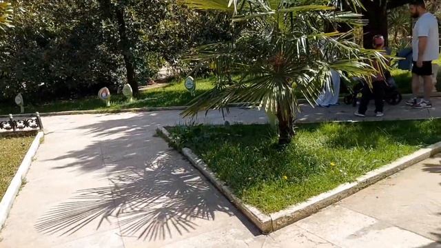 Сочи.Я ездила в центральный,самый лучший парк Ривьера. смотреть онлайн