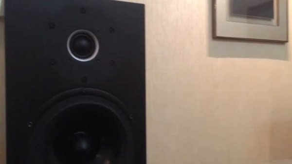 Brilliant Kudos Cardea C10 in Black Ash + integrated network player Linn Majik DSI