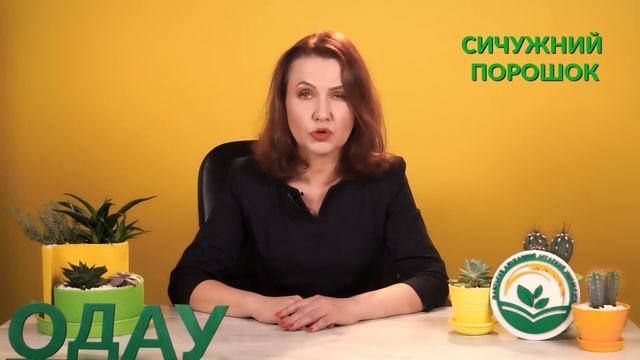Технологія створення моцарели в домашніх умовах. Наталія Кірович смотреть онлайн