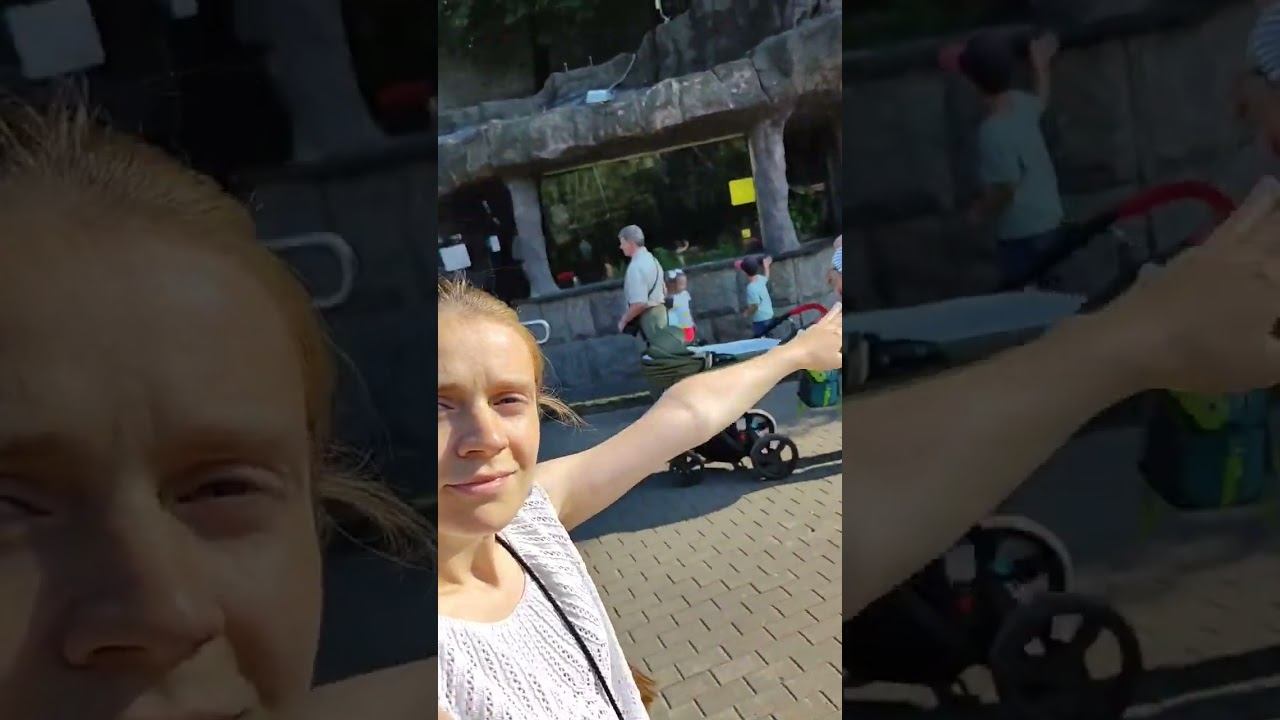 В зоопарк с маленьким ребёнком! #блогер #мама #дети #животные #мамаблог смотреть онлайн