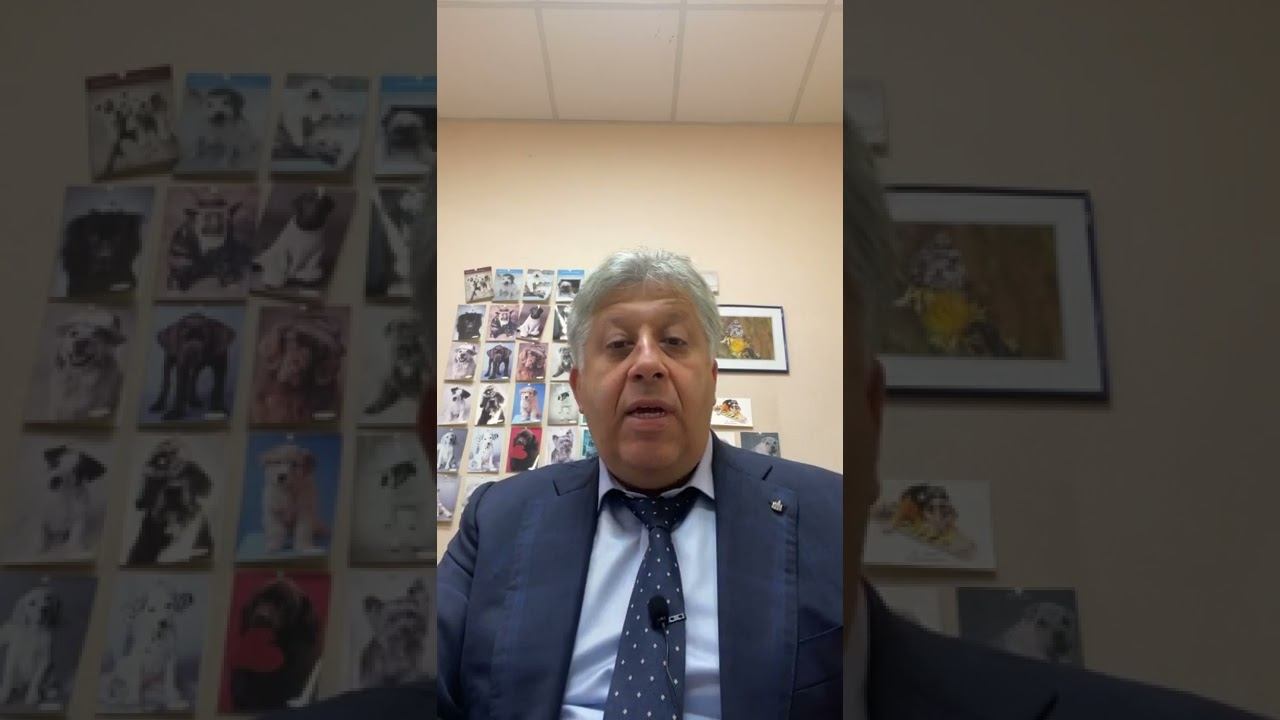 (После просмотра Раша.ТВ) Юридическая Компания «Амбер» с передачей «Завтрак Юриста» смотреть онлайн