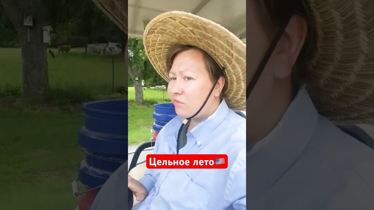 Эх, вы. Жизни не нюхали🇺🇸 #жизньвсша #юмор смотреть онлайн