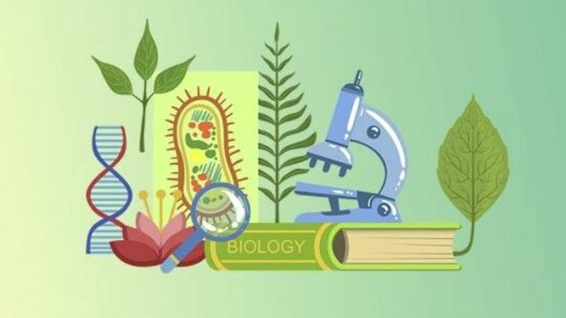 Биологии 8 класс. Эндокринная регуляция. -- смотреть онлайн