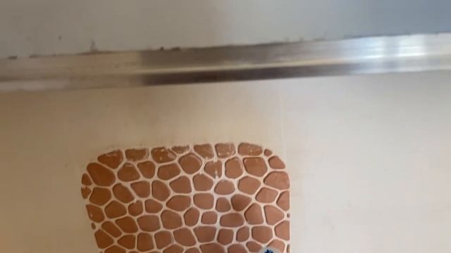 Пысықтауышты өмірі ұмытпайтындай етіп жаттап алудың үлгісі смотреть онлайн