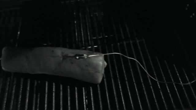 Testing out the CHUGOD Pro Smart Wireless Bluetooth BBQ Thermometer смотреть онлайн