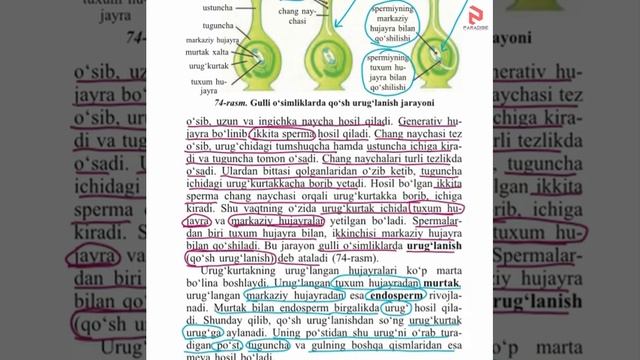 Biologiya 33 Mavzu 6 Sinf
