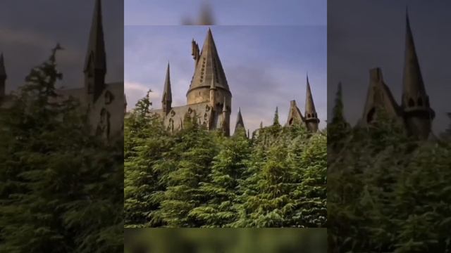 книги о Гарри Поттере смотреть онлайн