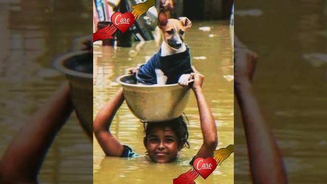 Humanity 😊♥️ #humanity #inspirationalquotes #motivationalquotes #help #youtubepartner смотреть онлайн