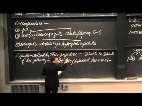 Lec 32 | MIT 3.091SC Introduction to Solid State Chemistry, Fall 2010 смотреть онлайн