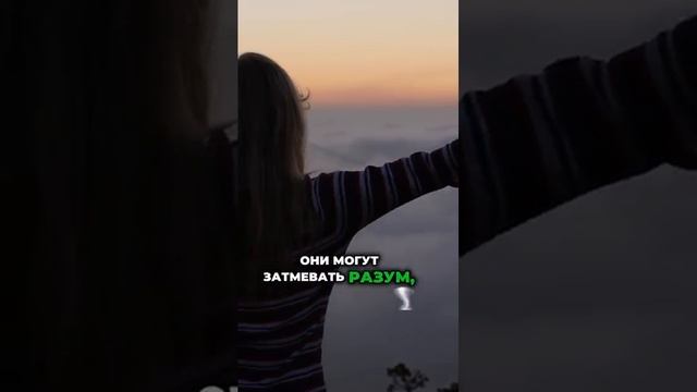 Кто управляет нашими решениями? И как их поймать? #психология #интуиция #эмоции #саморазвитие смотреть онлайн