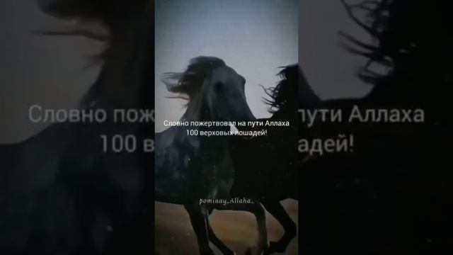 💚 красивые нашиды 💚 смотреть онлайн