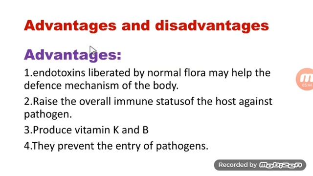 The Normal Bacterial flora of the human body | microbiology class смотреть онлайн