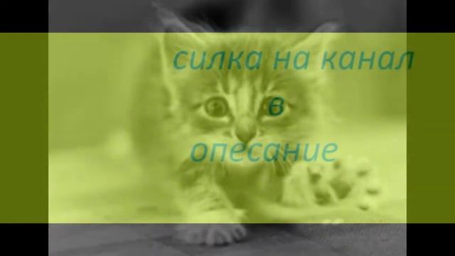 Мое слайд-шоу передаю привети смотреть онлайн
