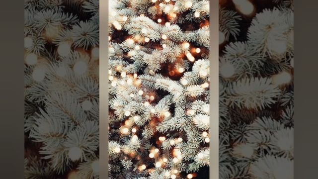 Зимнее настроение под произведение Р .Головченко "Посвящение Гридину " в исп. А.Попова. смотреть онлайн