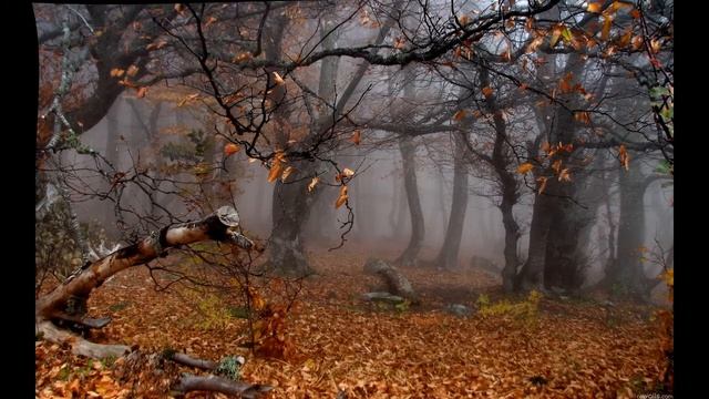 ЕСЛИ ВЕРИШЬ В СКАЗКУ смотреть онлайн
