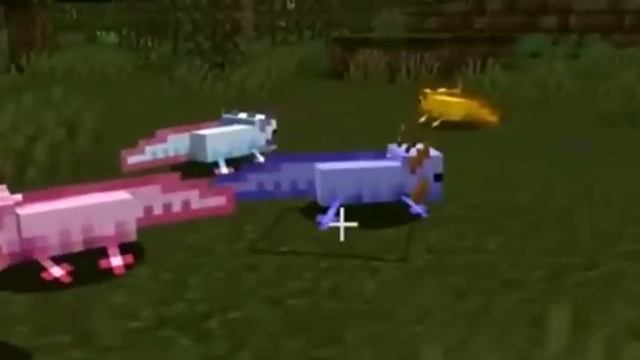 Crazy Evolution of Axolotl in Minecraft смотреть онлайн