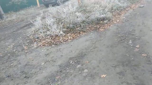 Дебильные Нива 2-го поколения Универсал и Лада Нива Трейвел! (записано позавчера)