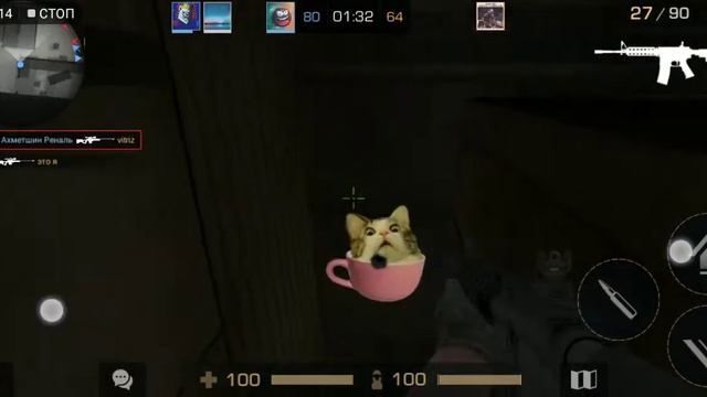 Котик в кружке standoff 2 секрет смотреть онлайн